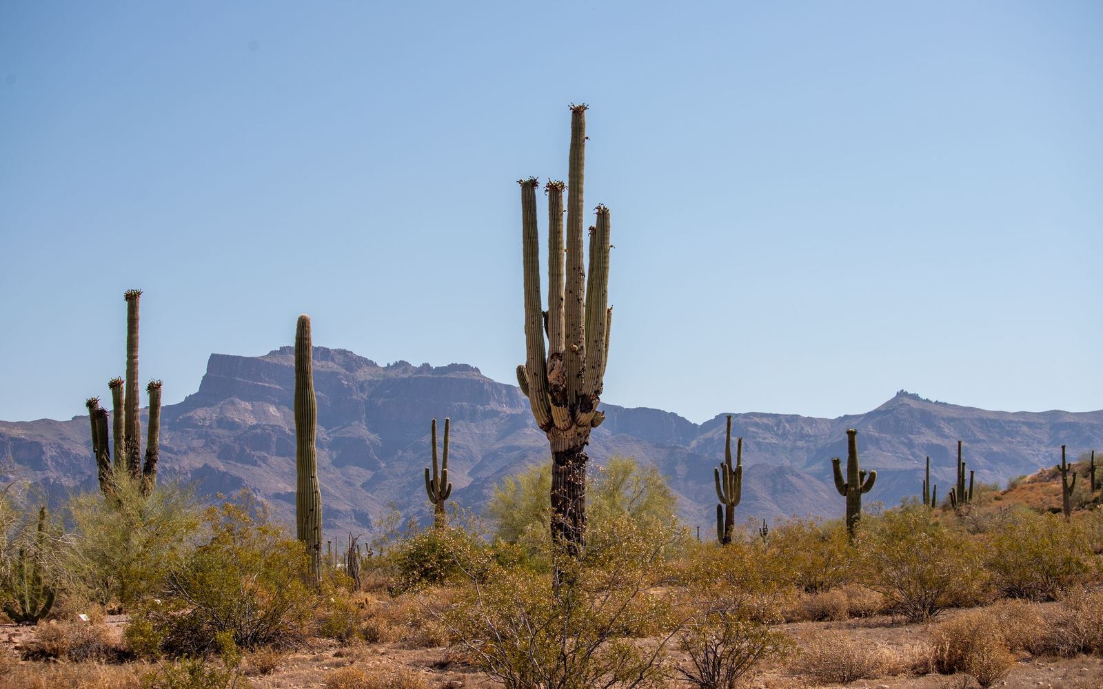 Surprise, Arizona