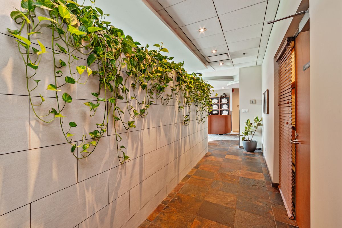 The Wild Orange Spa, med spa and aesthetic clinic in Abbotsford