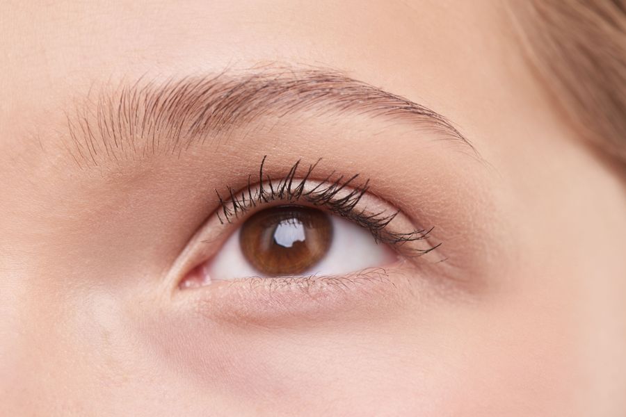 Thin Eyebrows: treatment options
