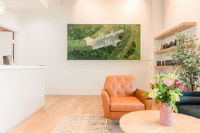 Amelia Aesthetics in Evansville