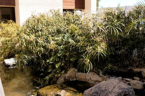 Arizona Dermatology in Phoenix