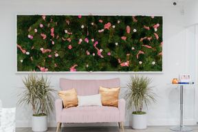 BeyondBela Aesthetics & Wellness in Brandon