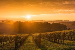 Chalekson Plastic Surgery | Med Spa in San Luis Obispo