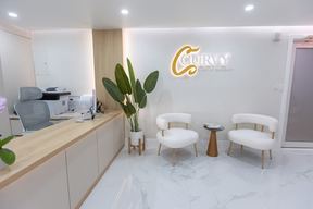 Curvy Plastic Surgery in Miami