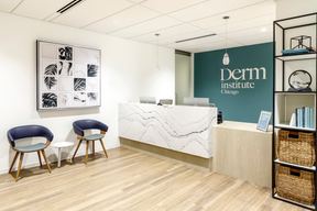 Derm Institute of Chicago in Chicago