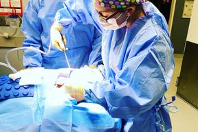 Dr. Celeste Nagy at Cosmetic Surgery Institute Palm Desert in Palm Springs