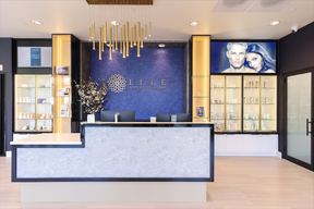 Elle Aesthetic Arts and Plastic Surgery in Arlington