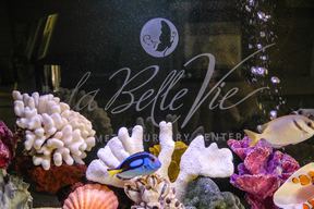La Belle Vie Cosmetic Surgery Center in Seattle