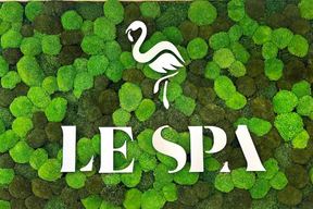 Le Spa Plastic Surgery in Fort Lauderdale