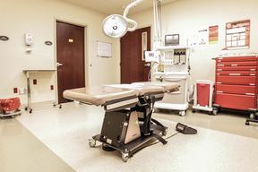 Maningas Cosmetic Surgery: Dr. Talon Maningas in Fayetteville