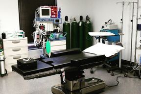 Paul C. Dillon, MD Inc in Schaumburg