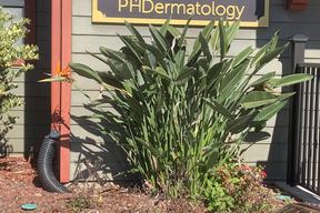 PHDermatology- Dunedin in Clearwater